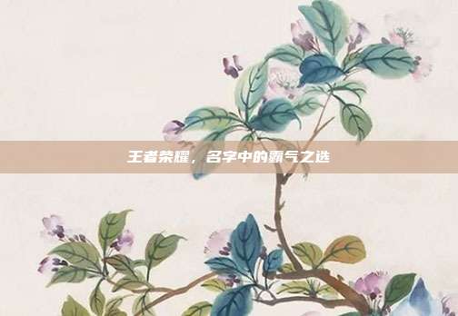 王者荣耀,名字中的霸气之选