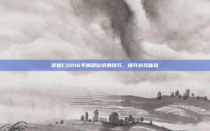 掌握COD16手柄键位切换技巧,提升游戏体验