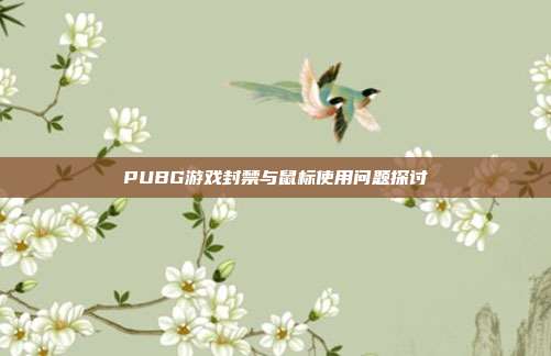 PUBG游戏封禁与鼠标使用问题探讨