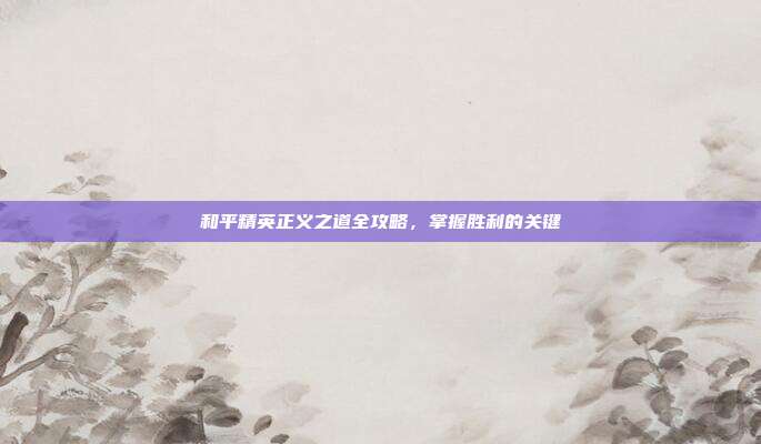 和平精英正义之道全攻略,掌握胜利的关键