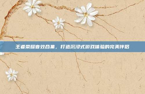王者荣耀音效合集,打造沉浸式游戏体验的完美伴侣