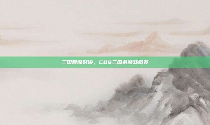 三国智谋对决,COS三国杀游戏概览