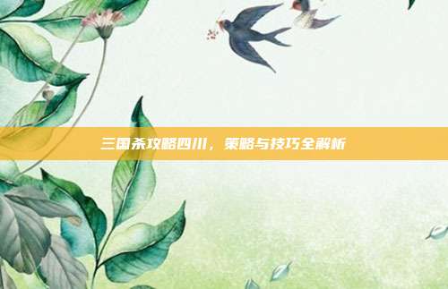 三国杀攻略四川,策略与技巧全解析