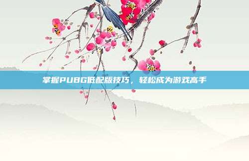 掌握PUBG低配版技巧,轻松成为游戏高手