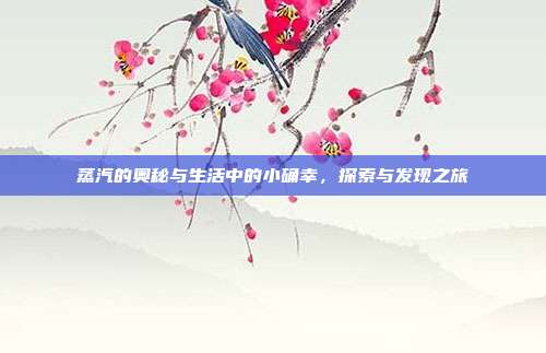 蒸汽的奥秘与生活中的小确幸,探索与发现之旅