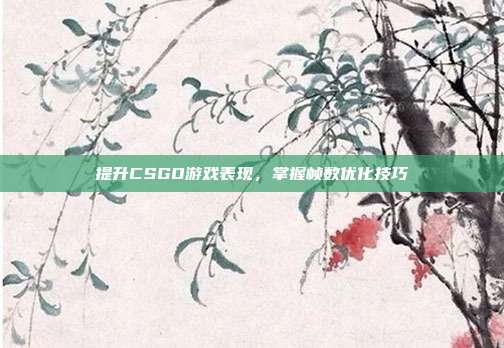 提升CSGO游戏表现,掌握帧数优化技巧