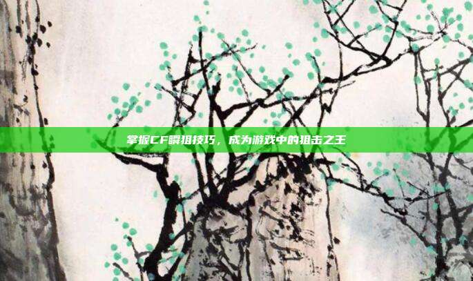 掌握CF瞬狙技巧,成为游戏中的狙击之王