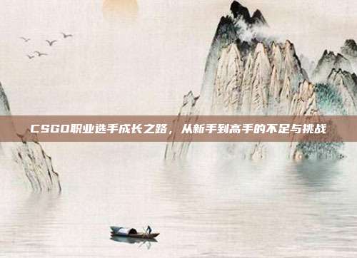 CSGO职业选手成长之路,从新手到高手的不足与挑战