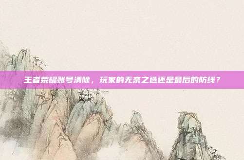 王者荣耀账号清除,玩家的无奈之选还是最后的防线?