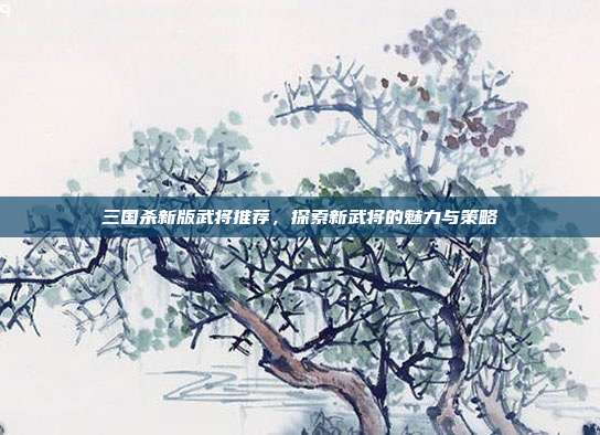 三国杀新版武将推荐,探索新武将的魅力与策略