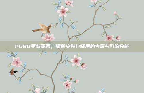 PUBG更新策略,删除安装包背后的考量与影响分析