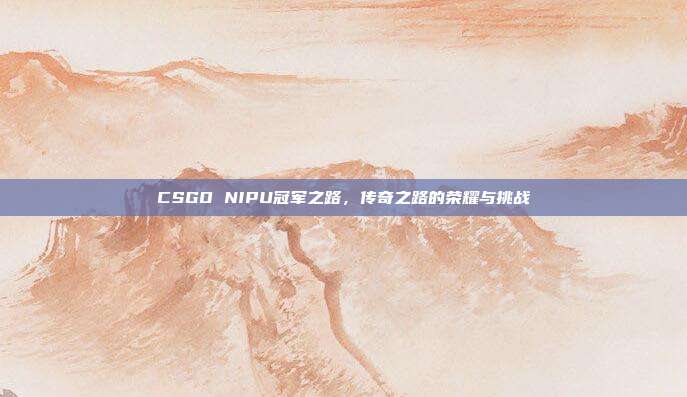 CSGO NIPU冠军之路,传奇之路的荣耀与挑战