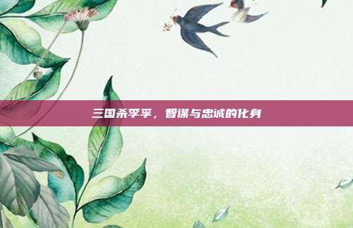 三国杀李孚,智谋与忠诚的化身