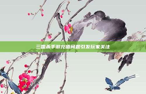 三国杀手游充值问题引发玩家关注