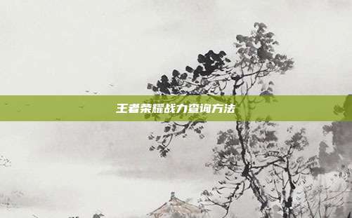 王者荣耀战力查询方法