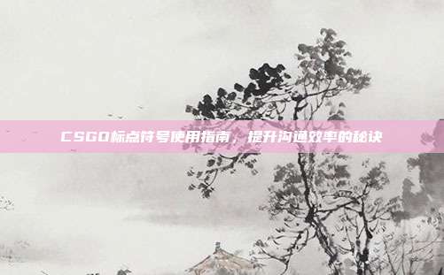 CSGO标点符号使用指南,提升沟通效率的秘诀