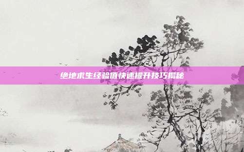 绝地求生经验值快速提升技巧揭秘