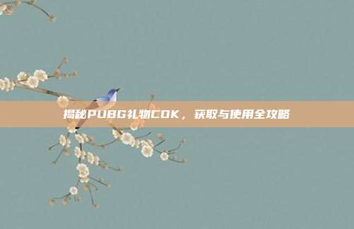 揭秘PUBG礼物CDK,获取与使用全攻略