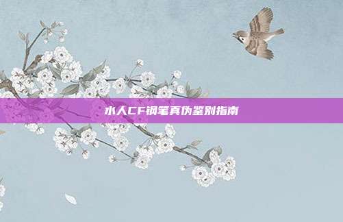 水人CF钢笔真伪鉴别指南