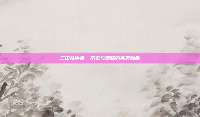 三国杀协会,历史与策略的完美融合