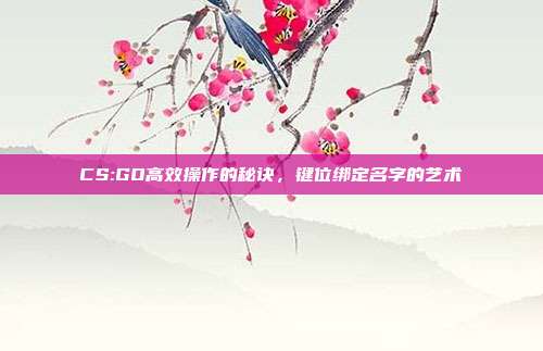 CS:GO高效操作的秘诀,键位绑定名字的艺术