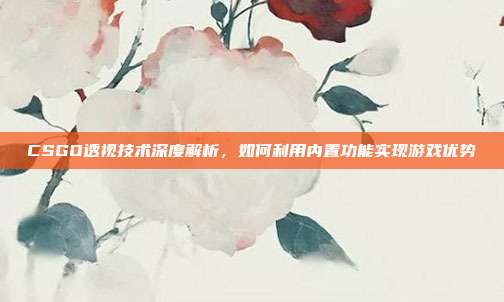 CSGO透视技术深度解析,如何利用内置功能实现游戏优势