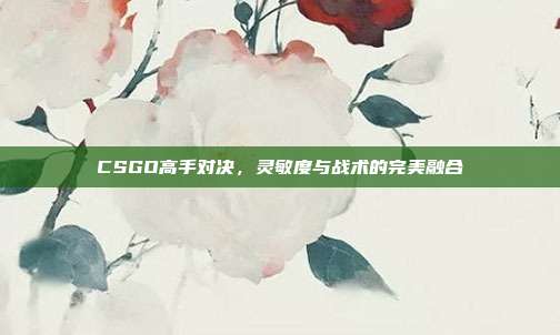 CSGO高手对决,灵敏度与战术的完美融合