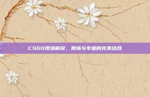 CSGO现场解说,激情与专业的完美结合