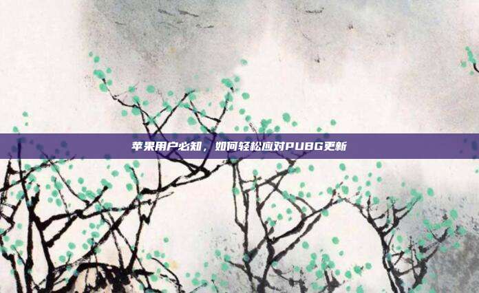苹果用户必知,如何轻松应对PUBG更新