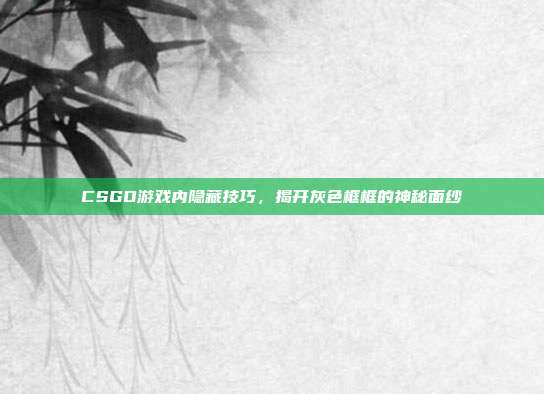 CSGO游戏内隐藏技巧,揭开灰色框框的神秘面纱
