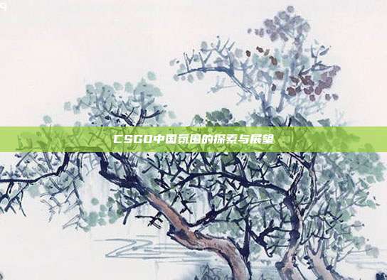CSGO中国氛围的探索与展望