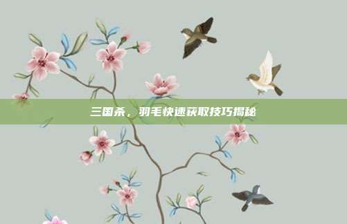 三国杀,羽毛快速获取技巧揭秘