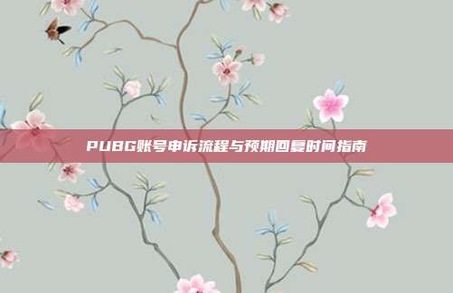 PUBG账号申诉流程与预期回复时间指南