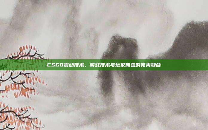 CSGO震动技术,游戏技术与玩家体验的完美融合