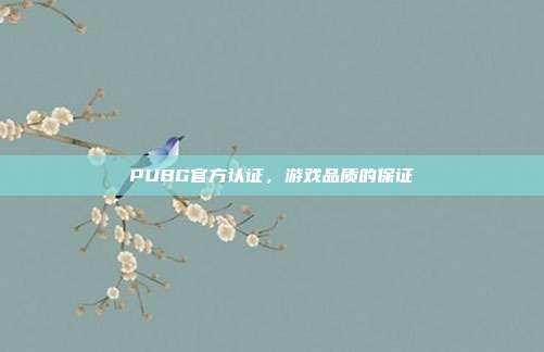 PUBG官方认证,游戏品质的保证