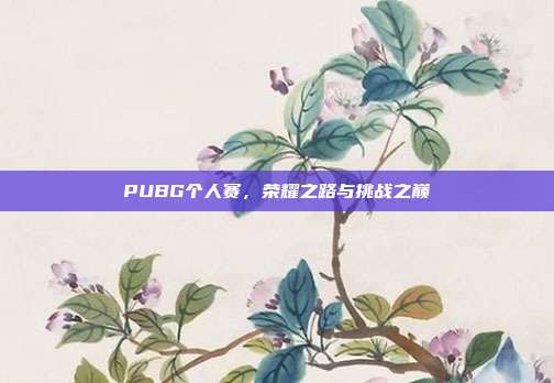 PUBG个人赛,荣耀之路与挑战之巅