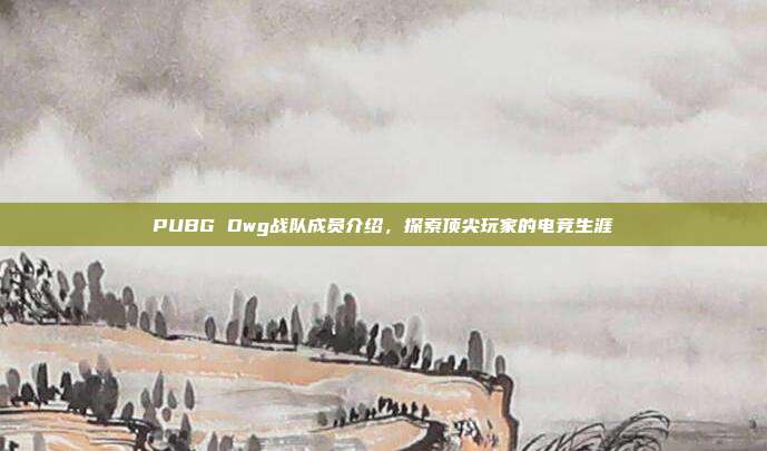 PUBG Dwg战队成员介绍,探索顶尖玩家的电竞生涯