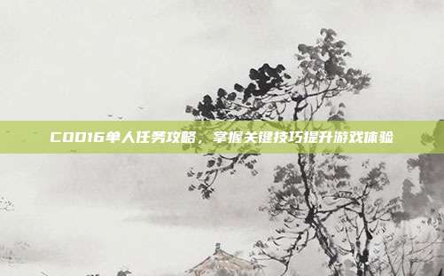 COD16单人任务攻略,掌握关键技巧提升游戏体验
