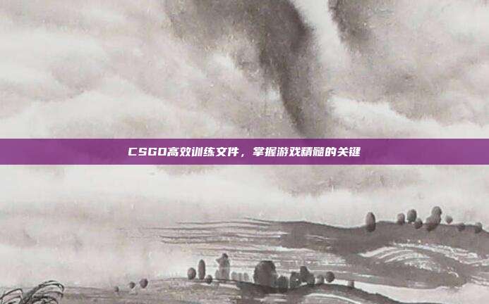 CSGO高效训练文件,掌握游戏精髓的关键