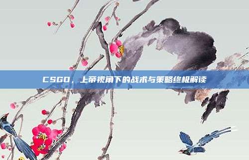 CSGO,上帝视角下的战术与策略终极解读
