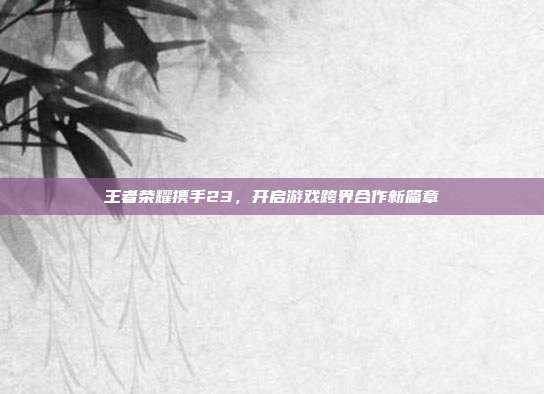 王者荣耀携手23,开启游戏跨界合作新篇章