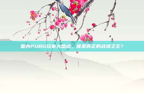 国内PUBG玩家大盘点,谁是真正的战场之王?