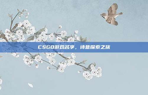 CSGO游戏名字,诗意探索之旅
