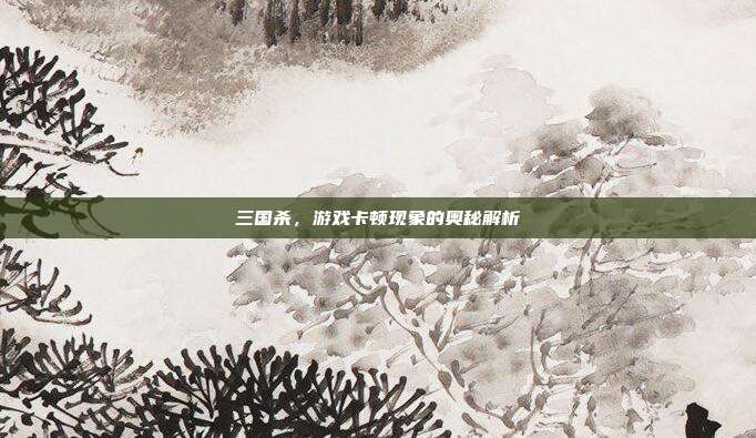 三国杀,游戏卡顿现象的奥秘解析