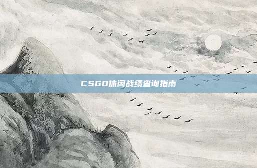 CSGO休闲战绩查询指南