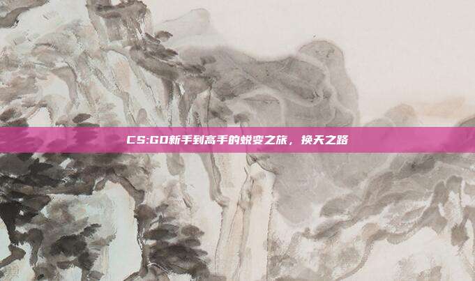 CS:GO新手到高手的蜕变之旅,换天之路