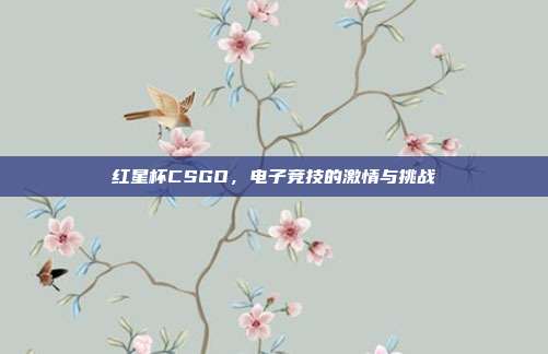 红星杯CSGO,电子竞技的激情与挑战