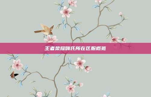 王者荣耀嗨氏所在区服概览