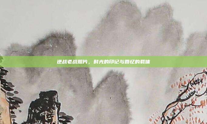 逆战老战照片,时光的印记与回忆的载体