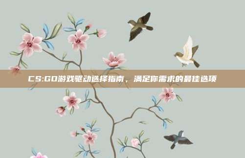 CS:GO游戏驱动选择指南,满足你需求的最佳选项
